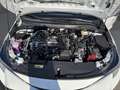 Toyota Corolla 1,8l Hybrid TS Active Drive Weiß - thumbnail 25