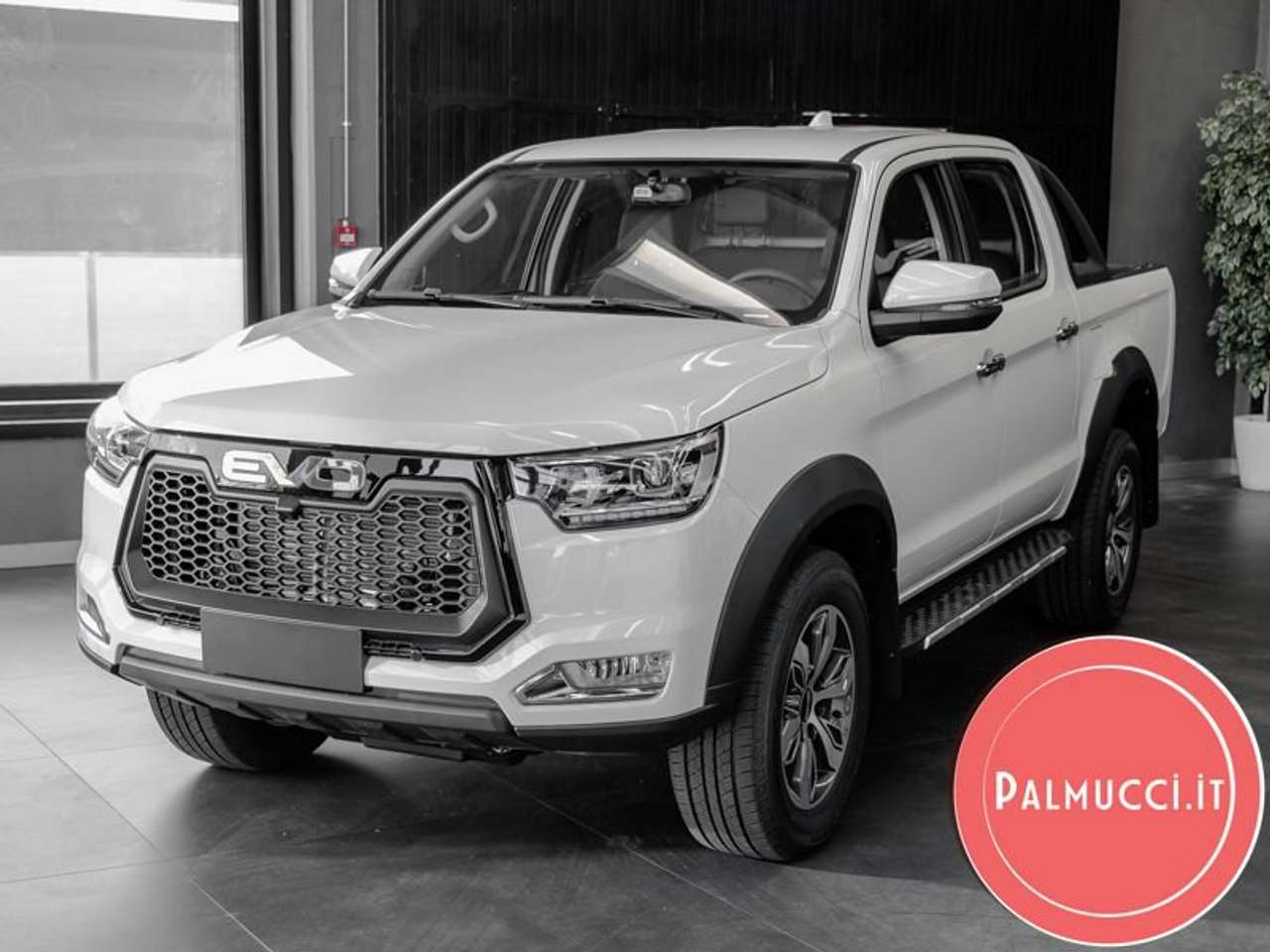 EVO Cross4 2.0 Turbo Diesel Doppia Cabina