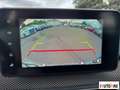 Dacia Sandero Stepway 1.0 tce Comfort 90cv Blu/Azzurro - thumbnail 11