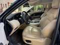Land Rover Range Rover Evoque 2.0 TD4 180 5p. Business Edition SE Bleu - thumbnail 7