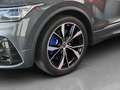 Volkswagen Tiguan R  300 PS Grau - thumbnail 20
