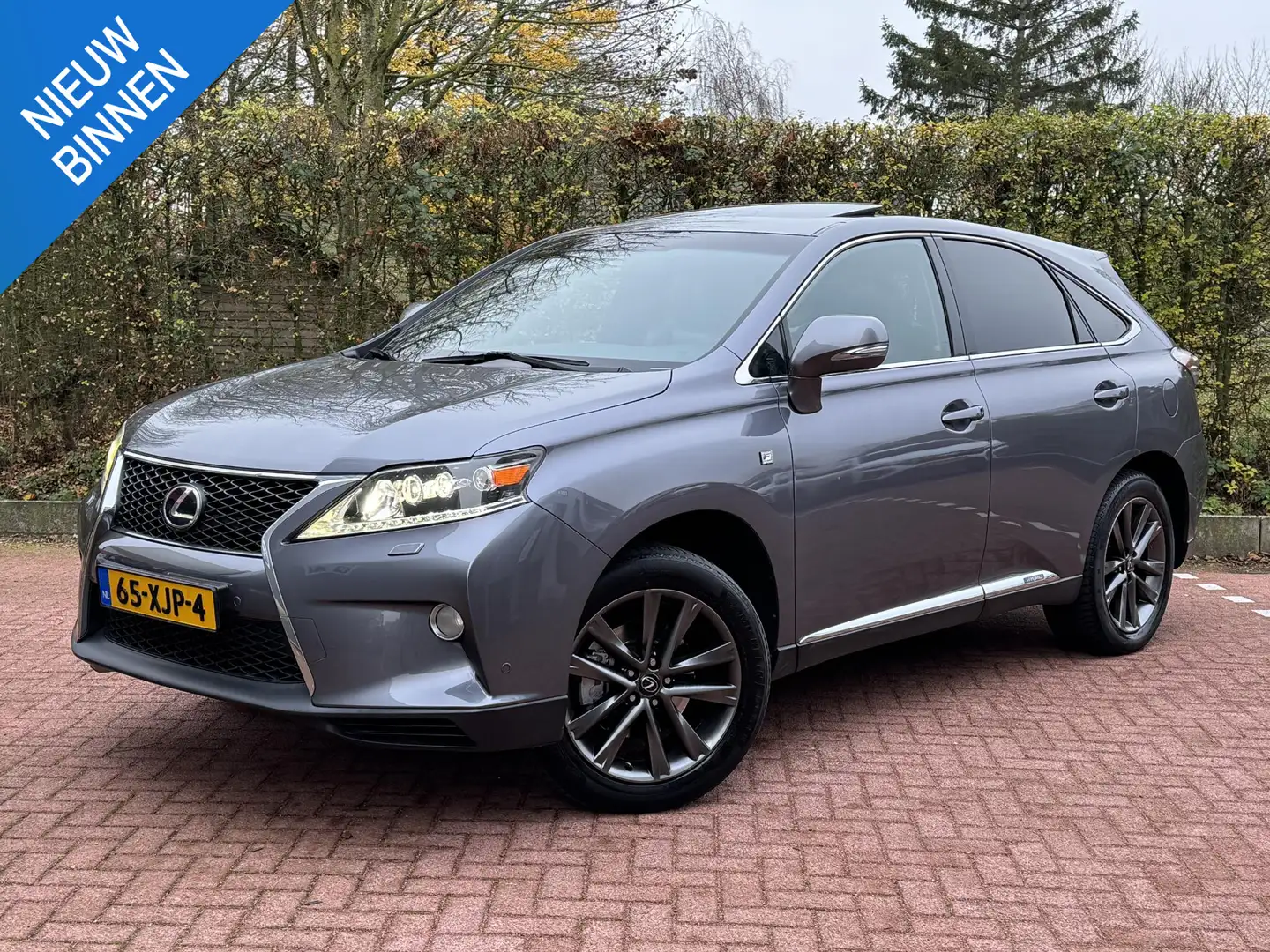 Lexus RX 450h F-Sport Dakraam Trekhaak 1e Eigenaar Grigio - 1