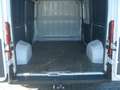 Fiat Ducato 33 120 L2H2 Klima PDC EURO6 41530Km AHK Weiß - thumbnail 6