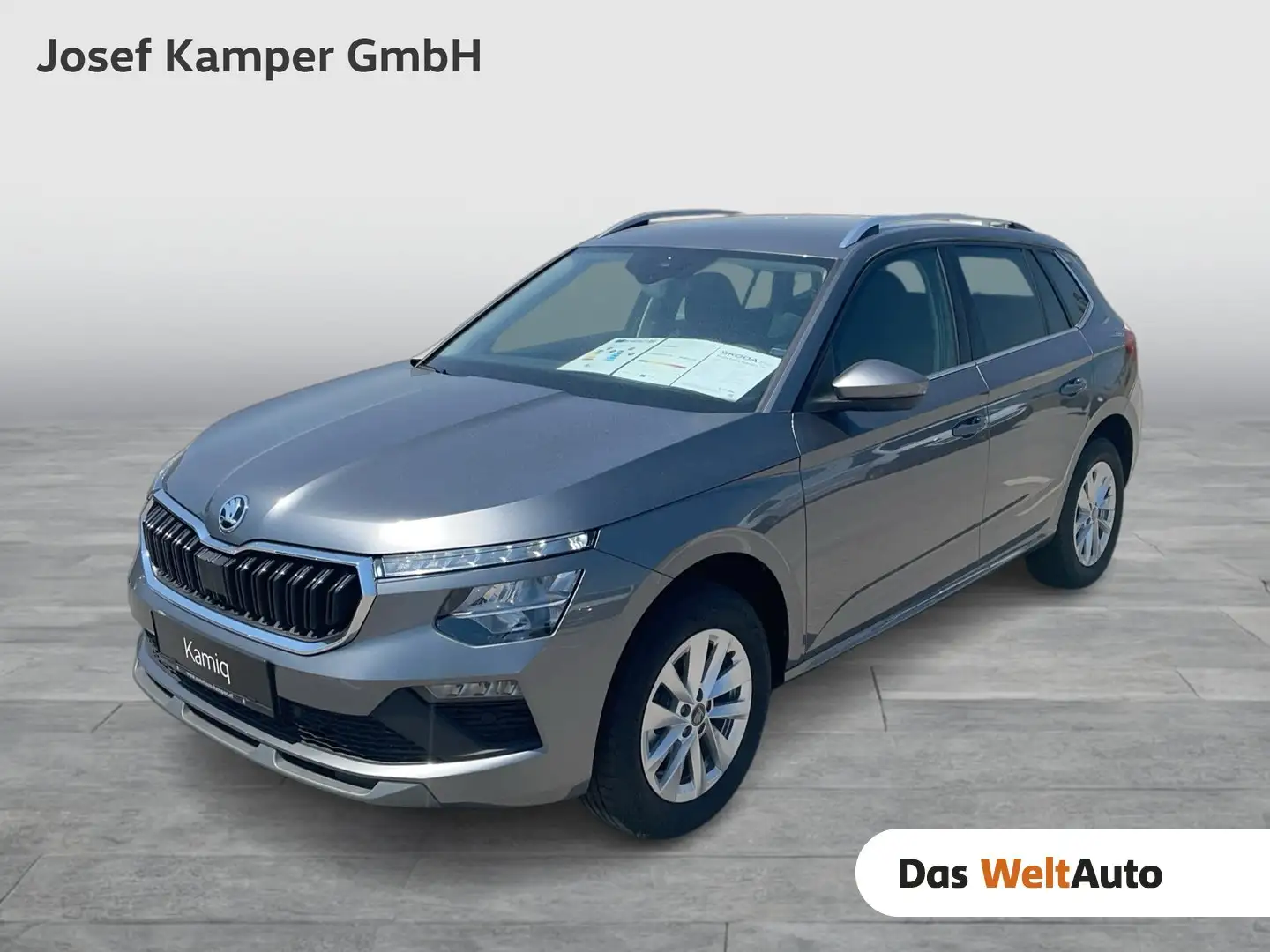 Skoda Kamiq Selection TSI Grau - 1