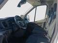 Ford Transit FT 350 L3 Van Trend 130 - thumbnail 9
