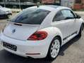Volkswagen Beetle Sport , Motor Neu revidiert Weiß - thumbnail 4