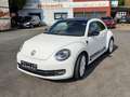 Volkswagen Beetle Sport , Motor Neu revidiert Weiß - thumbnail 1