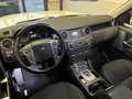 Land Rover Discovery 4 3.0 SDV6 249CV SE bijela - thumbnail 7