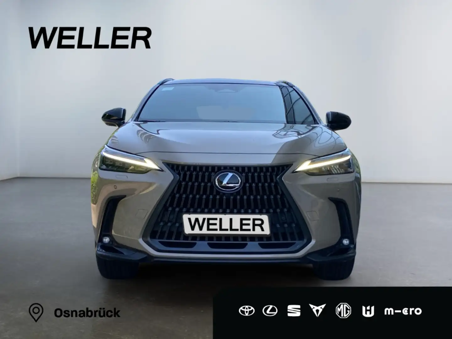 Lexus NX 350h E-FOUR Overtrail *Pano*HUD*Mark Levinson*360° Бежевый  - 2