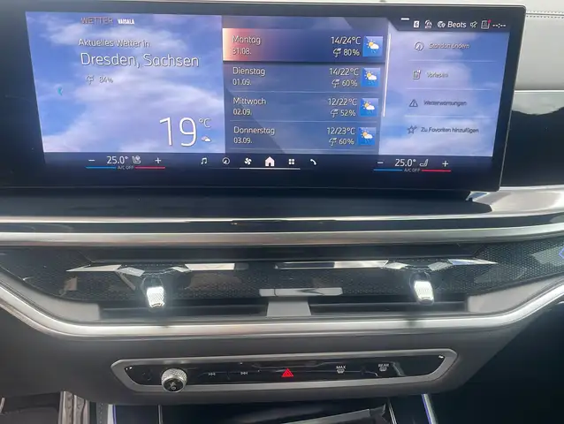 BMW X5 X5 view 11