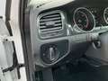 Volkswagen Golf Variant VII 1.6TDI Comfortline AHK Navi PDC Blanc - thumbnail 13