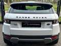 Land Rover Range Rover Evoque 2.2 TD4 4WD Pure PANO NAVI 20'' Blanc - thumbnail 5