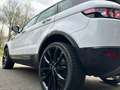 Land Rover Range Rover Evoque 2.2 TD4 4WD Pure PANO NAVI 20'' Wit - thumbnail 7