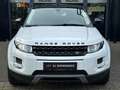 Land Rover Range Rover Evoque 2.2 TD4 4WD Pure PANO NAVI 20'' Blanc - thumbnail 1