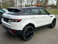 Land Rover Range Rover Evoque 2.2 TD4 4WD Pure PANO NAVI 20'' Wit - thumbnail 10