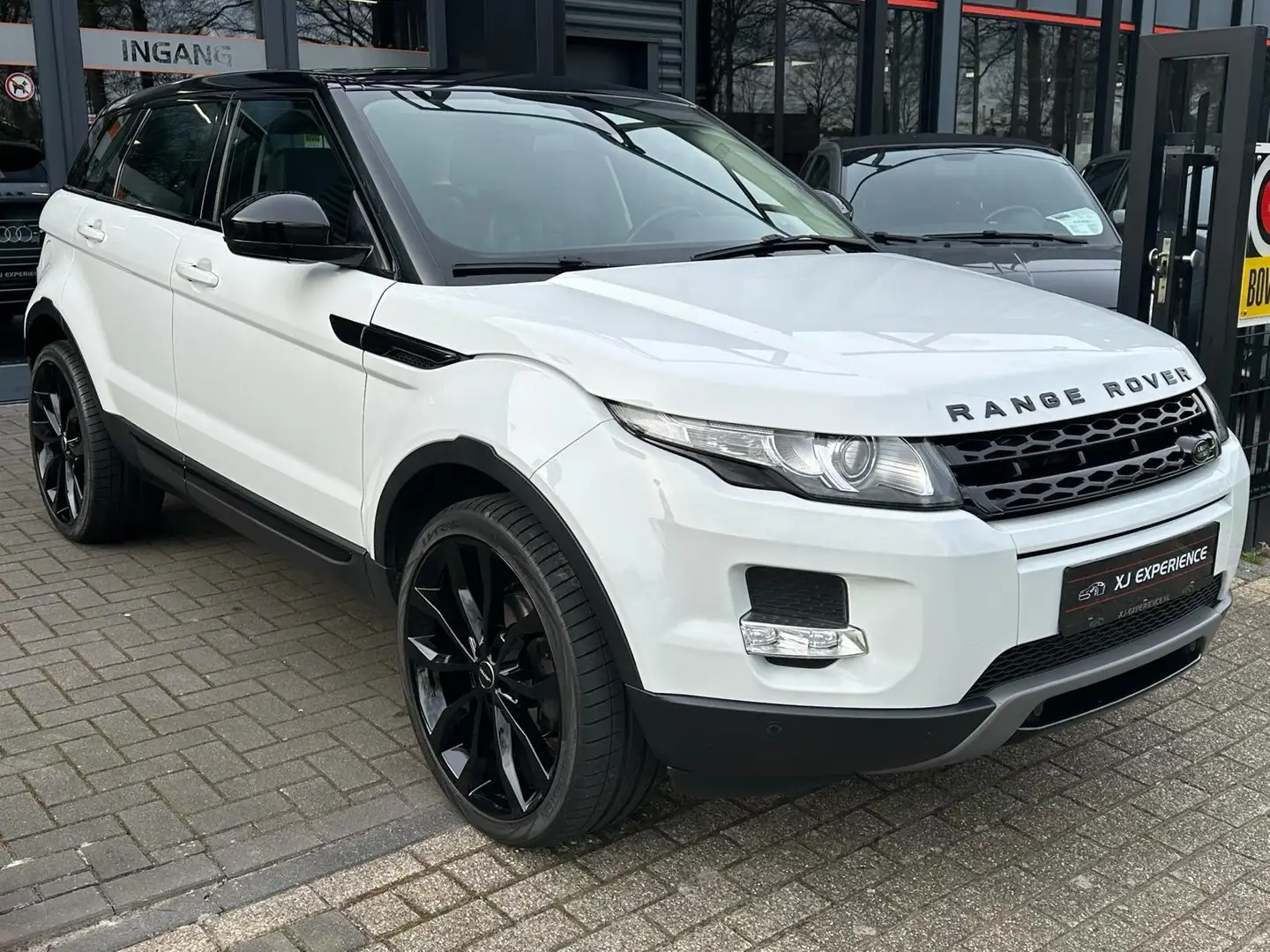 Land Rover Range Rover Evoque 2.2 TD4 4WD Pure PANO NAVI 20'' Wit - 2