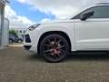 CUPRA Ateca 2.0 TSI 4Drive DSG / AHK / ACC / LED / NAVI / SITZ Weiß - thumbnail 18