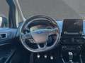 Ford EcoSport ST-Line ZAHNRIEN NEU/PDC/AHK/R-KAMERA Gris - thumbnail 11