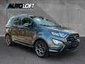 Ford EcoSport ST-Line ZAHNRIEN NEU/PDC/AHK/R-KAMERA Gris - thumbnail 6