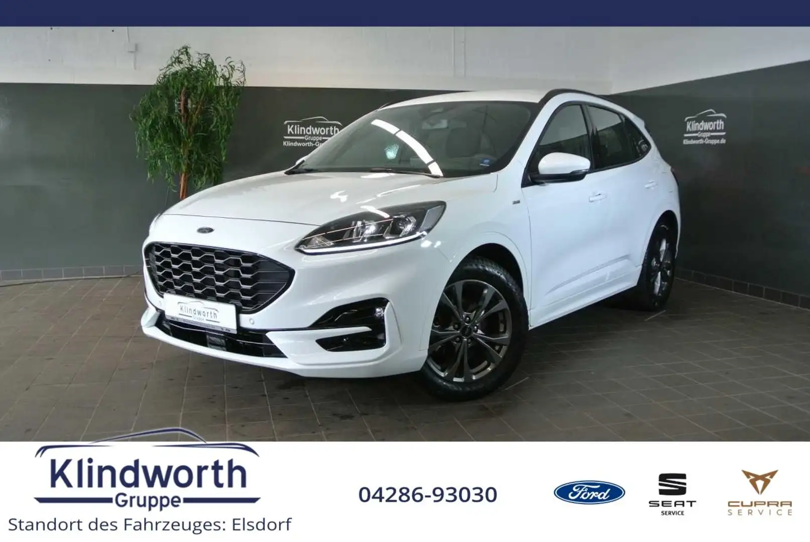 Ford Kuga 1.5 EcoBlue ST-Line +AHK+RFK+Navi+GJR White - 1