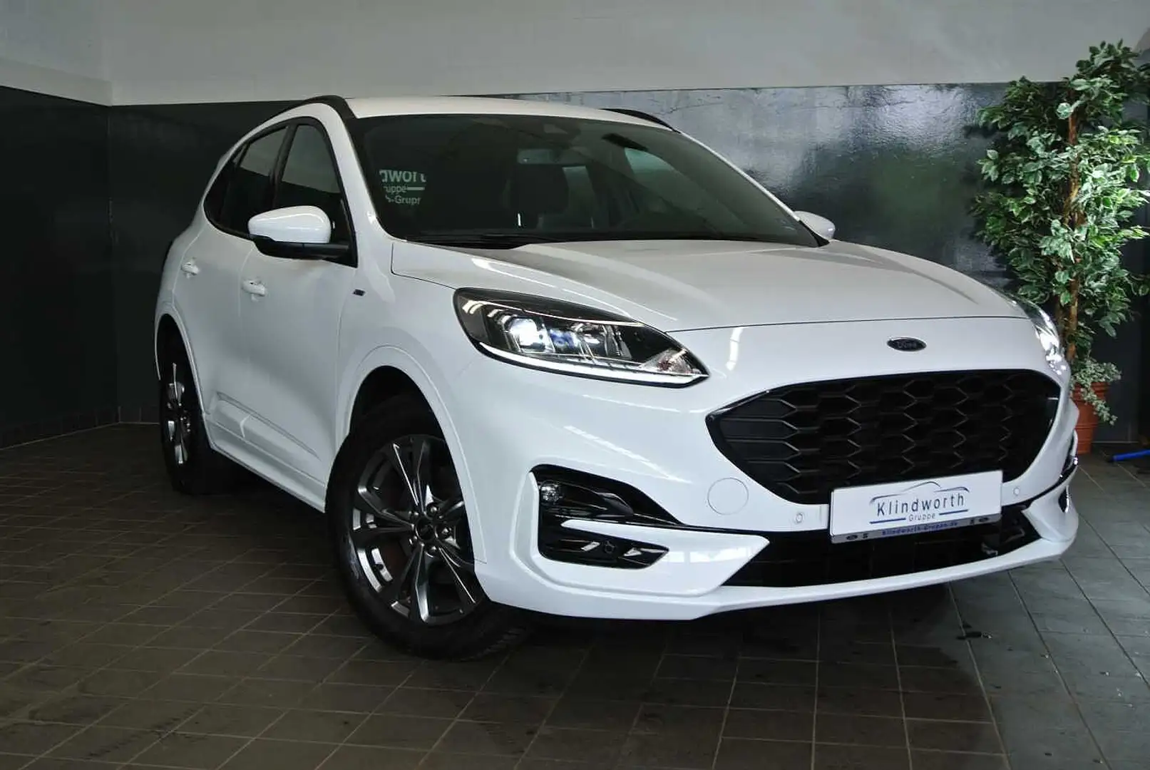 Ford Kuga 1.5 EcoBlue ST-Line +AHK+RFK+Navi+GJR Weiß - 2