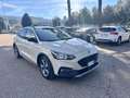 Ford Focus Focus Active Active 1.0 ecoboost h s Beżowy - thumbnail 1