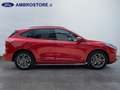 Ford Kuga III 2020 - Kuga 2.5 full hybrid ST-Line X 2wd 190c Rot - thumbnail 4
