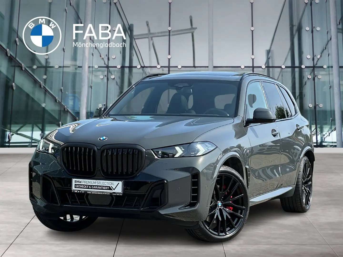 BMW X5 xDrive40d M Sportpaket Gestiksteuerung DAB Gris - 1