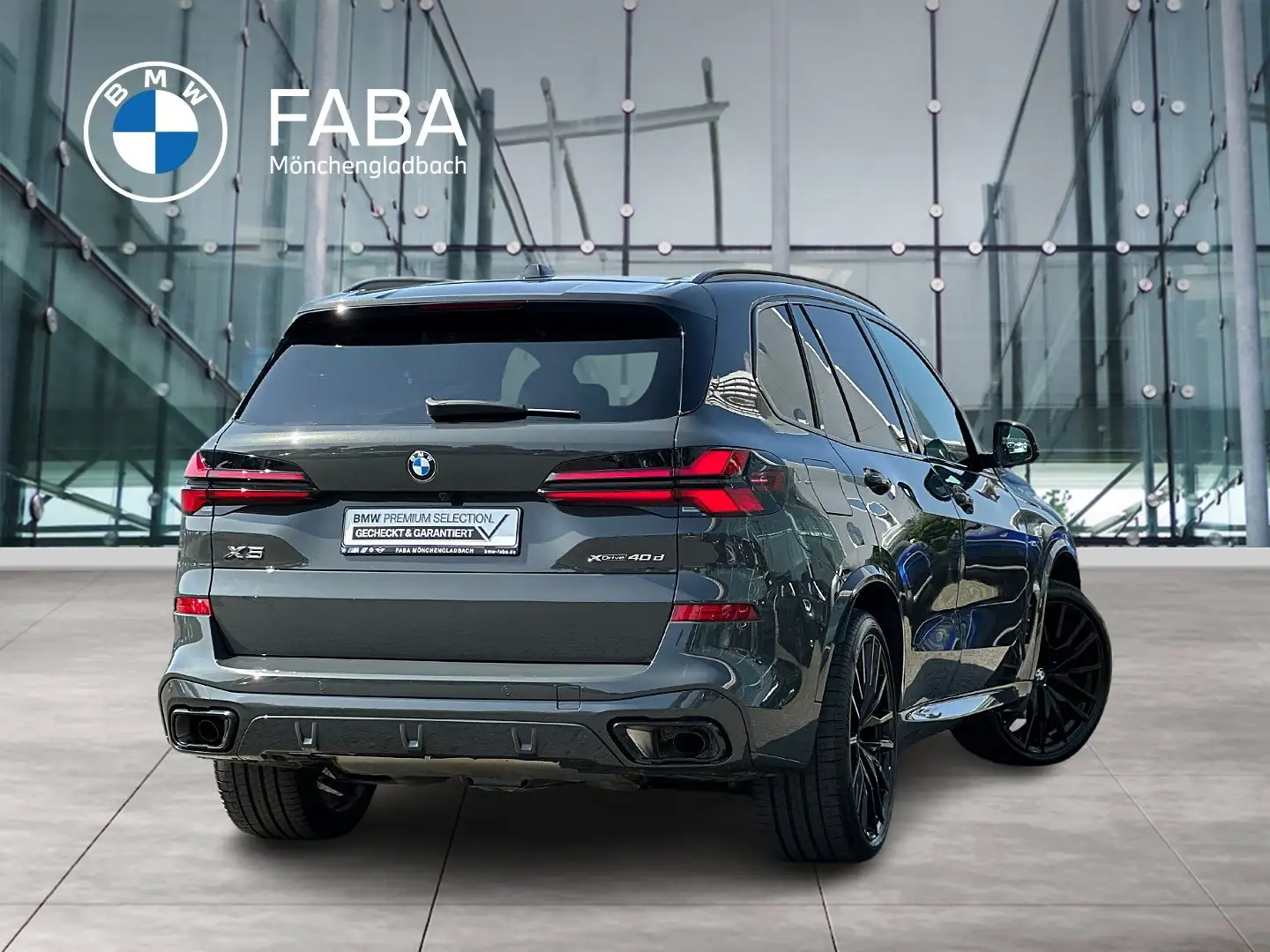 BMW X5 xDrive40d M Sportpaket Gestiksteuerung DAB Gris - 2