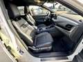 Nissan Qashqai Tekna  MEGA VOLL MILD HYBRID Bianco - thumbnail 12