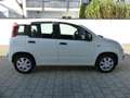 Fiat Panda 1.2 8V Easy Klima HiFi ZV+FB eASP Blanc - thumbnail 18
