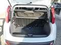 Fiat Panda 1.2 8V Easy Klima HiFi ZV+FB eASP Blanc - thumbnail 10