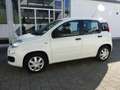 Fiat Panda 1.2 8V Easy Klima HiFi ZV+FB eASP Blanc - thumbnail 3
