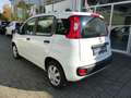 Fiat Panda 1.2 8V Easy Klima HiFi ZV+FB eASP Blanc - thumbnail 2