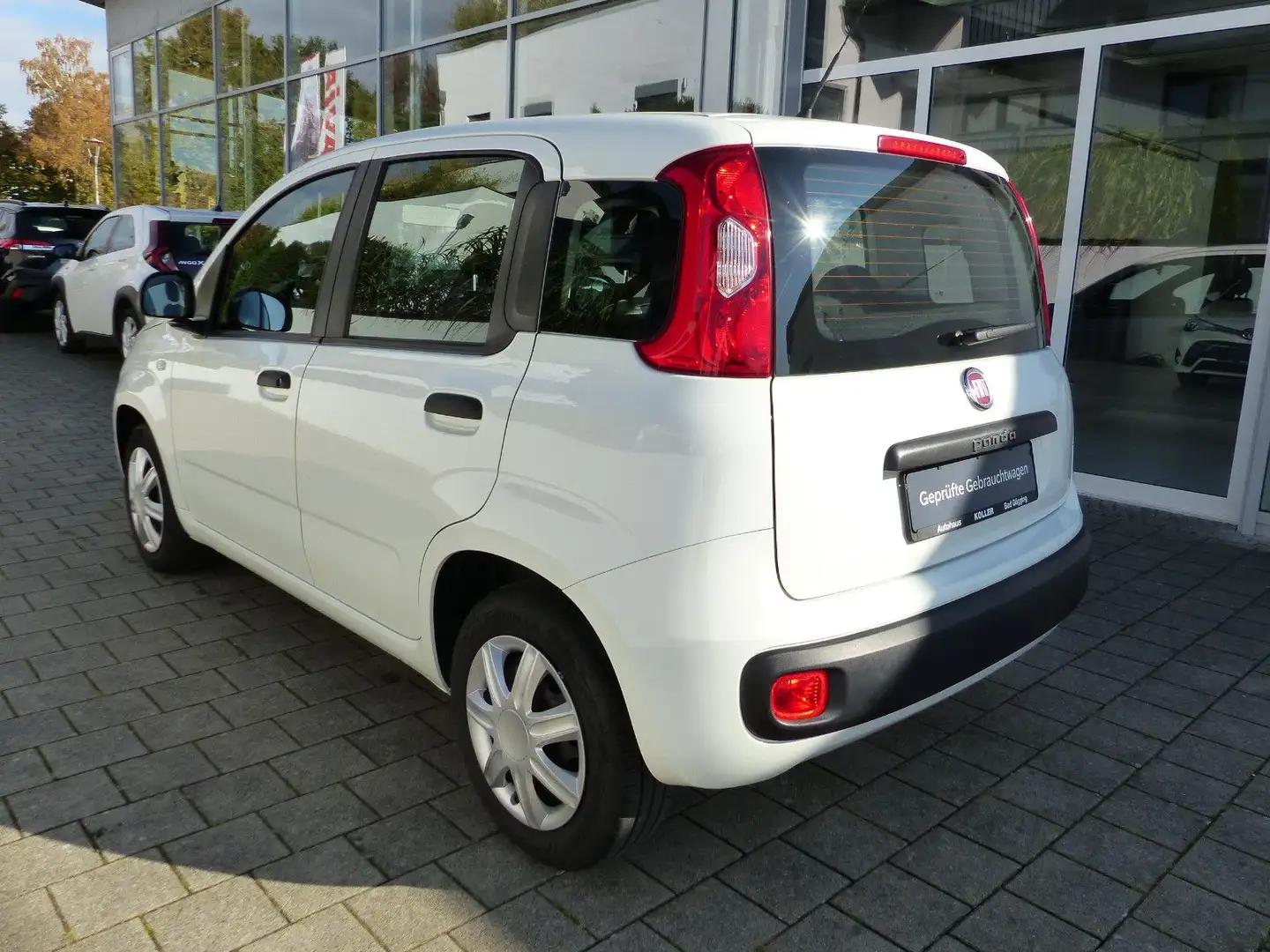 Fiat Panda 1.2 8V Easy Klima HiFi ZV+FB eASP Blanc - 2