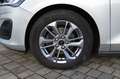 Ford Focus 1.5 EcoBlue Titanium+ Wi-Räder Argent - thumbnail 10