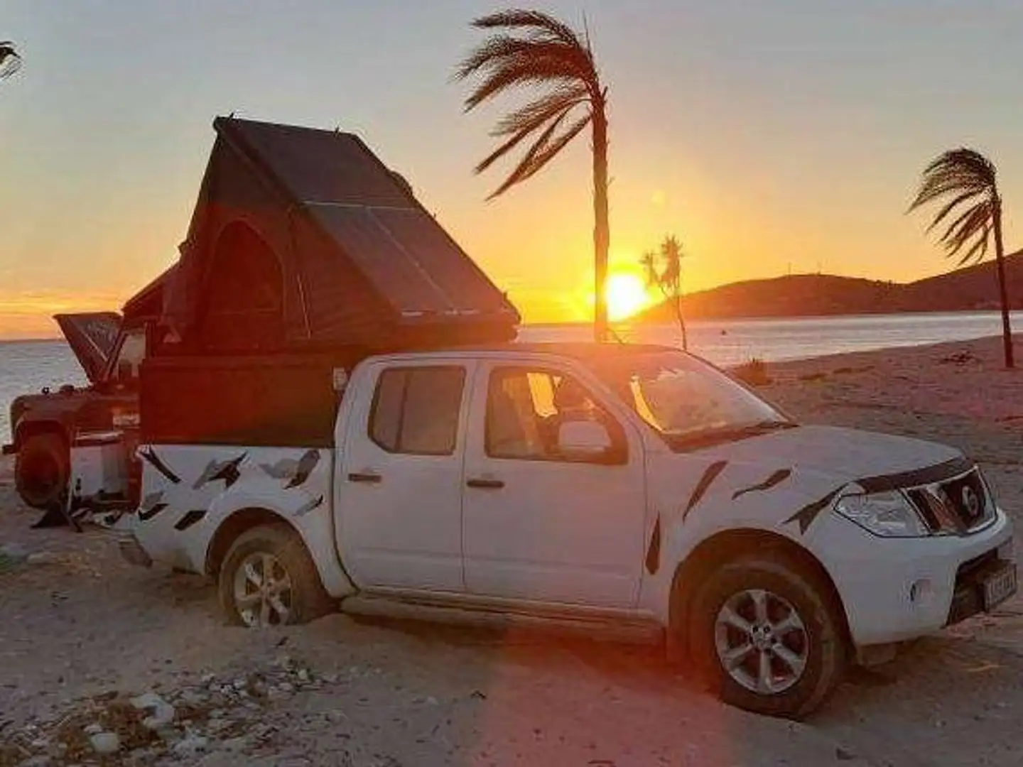 Nissan Pick Up Campervariante, Allrad, AHK, mit Dachzelt etc. Белый - 1