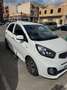 Kia Picanto Picanto 1.0 Urban Urban Blanco - thumbnail 2