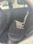 Kia Picanto Picanto 1.0 Urban Urban Blanco - thumbnail 6
