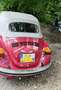 Volkswagen Käfer Cabrio Rot - thumbnail 4