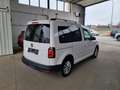 Volkswagen Caddy 2,0 TDi Kombi Austria Plus XTRA BMT - Topzustand! Weiß - thumbnail 5