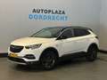 Opel Grandland X 1.2 Turbo Edition 2020 Camera /Navi Wit - thumbnail 1