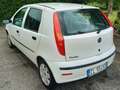 Fiat Punto 5p 1.4 16v Emotion Bianco - thumbnail 3