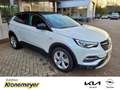 Opel Grandland 2.0 D INNOVATION (132kW)AT8 AHK-abnehmbar Navi LED Blanc - thumbnail 3
