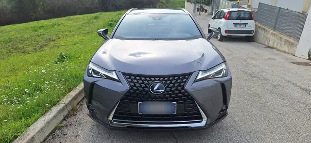 Lexus UX 250h