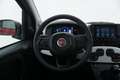 Fiat Panda Hybrid Pandina Cross 1.0 Mild Hybrid 70CV Rouge - thumbnail 11