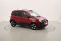 Fiat Panda Hybrid Pandina Cross 1.0 Mild Hybrid 70CV Rouge - thumbnail 7