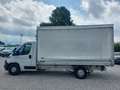 Peugeot Boxer 435 L4 165CV Premium Centinato PRONTA CONSEGNA Blanc - thumbnail 7