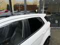 Ford EcoSport 1.0 EcoB. Titanium,1e Eig,Dealer OH,Half Leer,Wint Weiß - thumbnail 7