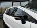 Ford EcoSport 1.0 EcoB. Titanium,1e Eig,Dealer OH,Half Leer,Wint Weiß - thumbnail 21